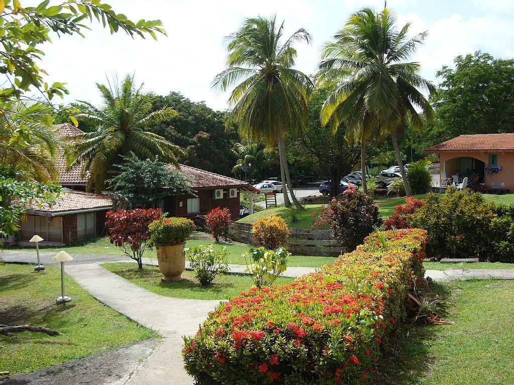 Palm'Studio Anse De Caritan Sainte-Anne Exterior foto