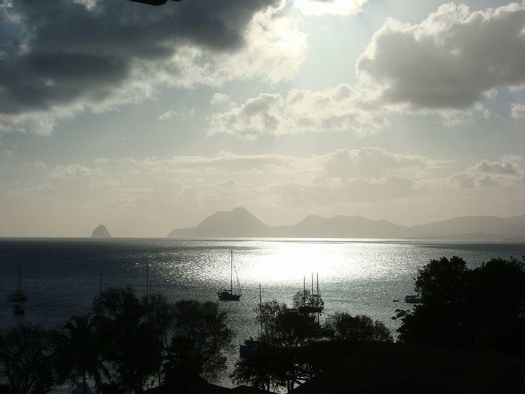 Palm'Studio Anse De Caritan Sainte-Anne Exterior foto