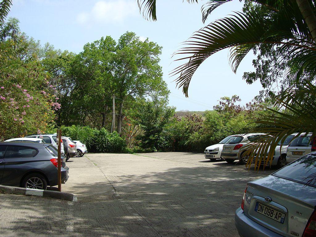 Palm'Studio Anse De Caritan Sainte-Anne Exterior foto