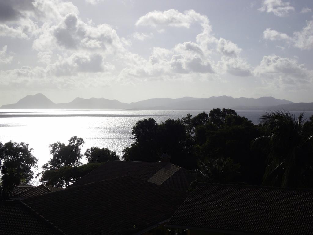 Palm'Studio Anse De Caritan Sainte-Anne Exterior foto