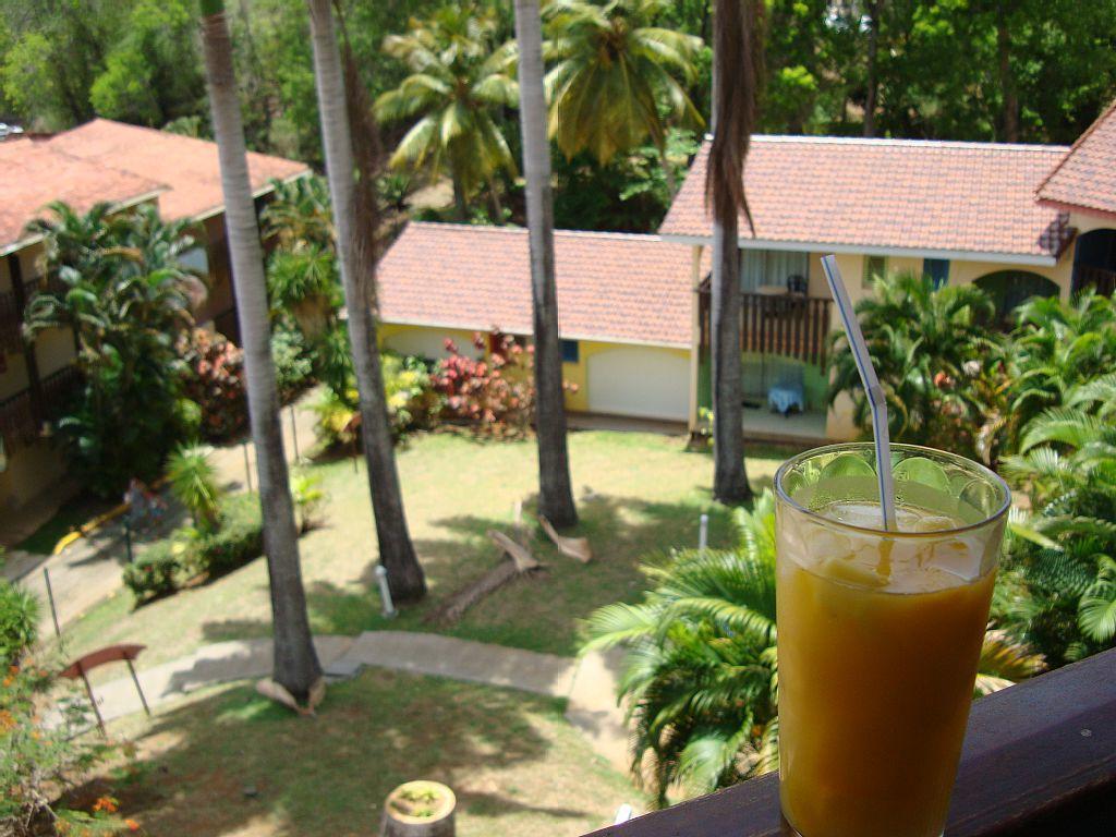 Palm'Studio Anse De Caritan Sainte-Anne Exterior foto
